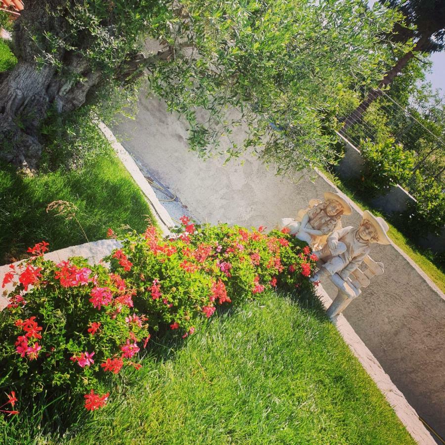 Alba Magica Bed & Breakfast Agerola Bagian luar foto